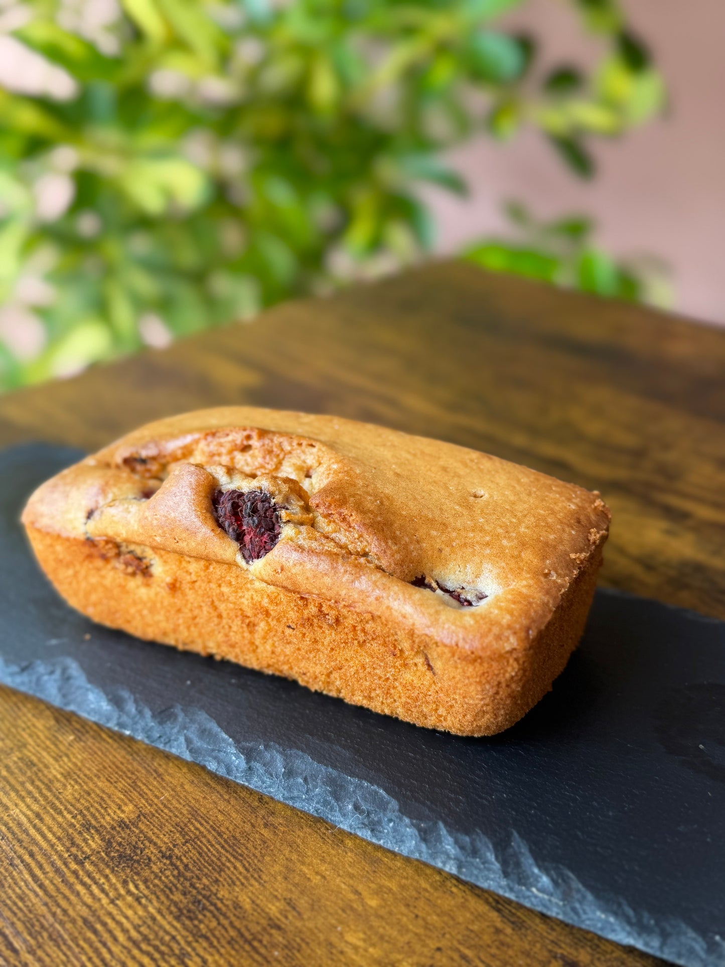 PLUM CAKES